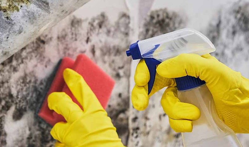 cropped image of a professional with a spray bottle and a sponge