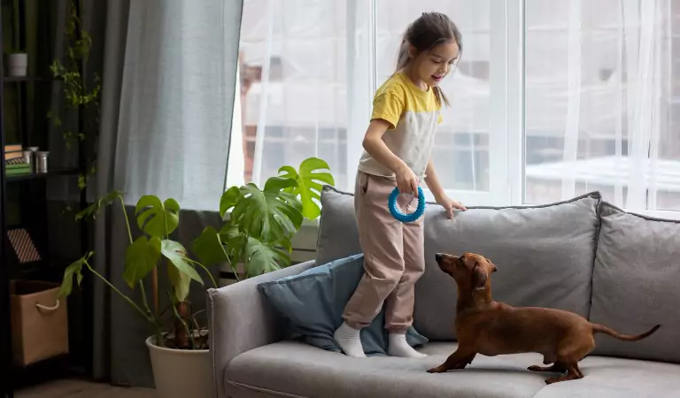 young kid playing with her dog