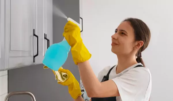 woman disinfecting a surface inside of a kitchen