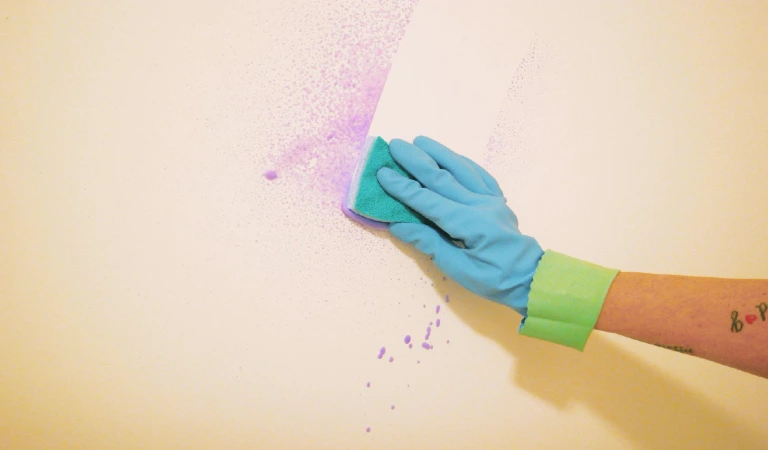 Cropped hand of woman cleaning wall