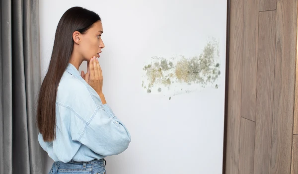 Identify and Tackle Stains From Walls 