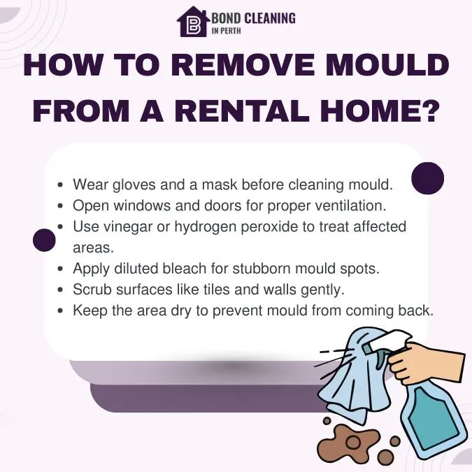 How to Remove Mould From a Rental Home