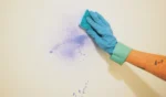 Cropped hand of woman cleaning wall