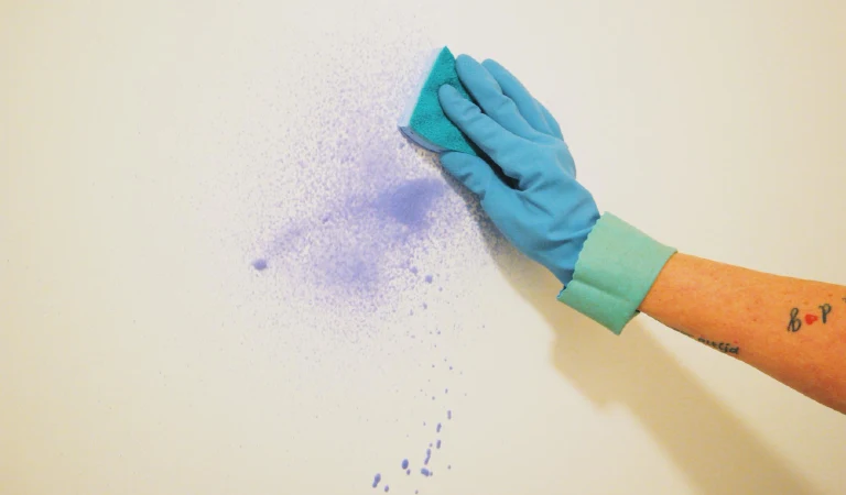 Cropped hand of woman cleaning wall